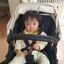 폭스2 | [체험 반납 후기] 부가부 폭스2 디럭스 유모차 프레시화이트 / 말리베 유모차 대여