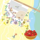 봄꽃 명소 부여 세도 유채꽃축제, 방울토마토 따기 체험까지 즐긴 후기