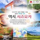 반도카서비스 | 시즈오카 3박4일 추천일정 : 호텔 추천3곳+ 렌터카 이용법