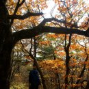 가야5차 이미지