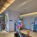 애견호텔 개인 | 강아지와 1박 2일 속초 여행｜속초 아이파크 스위트호텔 앤 리조트 애견동반 호텔 후기 (내돈내산)