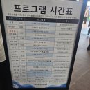모네 | 여수 가볼만한곳 아쿠아플라넷 모네그림전시회 관람후기