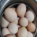 행복양계장 이미지