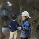 경기도박물관 | 두돌아기랑 재재재방문! 경기도 어린이박물관 솔직후기 &amp; 꿀팁