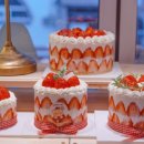 오로라케익하우스 이미지