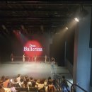 백양문화예술회관 공연장 이미지