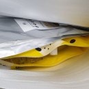 명랑견생 이미지