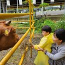 무안어린이집 | 목포 대성동 천년숲 어린이집, 무안 한꼴농장 소풍 후기!