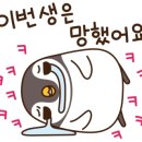 카페502 이미지