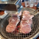 소양강닭갈비 Daum카페