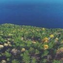 우리윤약국 이미지