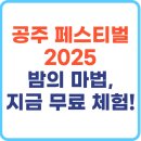 봉황로 문화의 거리 | 공주 페스티벌 2025｜무료 신청하고 밤의 마법 체험!