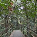 수산리-15 이미지