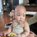 베베앙쥬 이미지