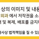 성모바른정형외과의원 이미지