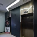 부일사 | 밍크, 모피아울렛 동대문 맥스타일 쌀쌀한 날씨에 어울리는 아이템