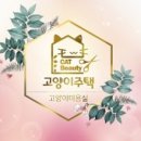 고양이 주택 이미지