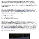 오후의 산책 이미지