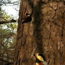 산사랑물사랑 이미지