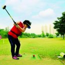 베스타골프 이미지