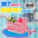 드림아이학원