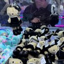 PLAY FUN | [홍대 인형뽑기 투어] 키티 찾아서 떠난 커플의 홍대 데이트!