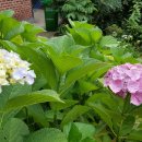 메가마트 옆 이미지