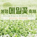하늘여행사 이미지