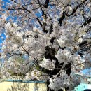 어의정로 이미지