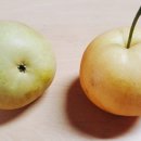 경강로261 이미지