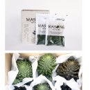 마중물 농장 이미지