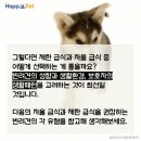 올어바웃펫 이미지