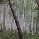 하추 사계절 이미지