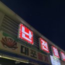 대포 크랩 | 속초 대포항 난전시장 20년 단골 킹크랩 대게 맛집 추천 대포활게 내돈내산