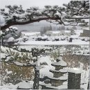 연수구 연수 장례식장 ~ 희망찬요양병원 앞 | 제천시, 중국발 코로나19 엔데믹(풍토병화) 총력대응-기상청 11월27~28일 제천시 대설주의보.대설경보...