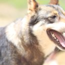 모리농장 이미지