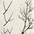 수묵화(기초) 이미지