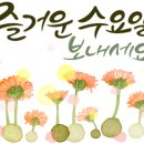 호부당 이미지