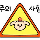 학교민박 이미지