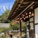 노고단-2 | 전남 구례 1박2일 가을 여행 코스 추천 | 지리산 노고단 쌍산재 화엄사 +국내숙소 할인쿠폰