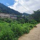 베데스다농장 이미지