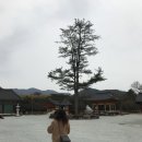 플러스82프로젝트소양점 네이버블로그
