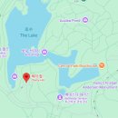 미도우 | 뉴욕 센트럴파크 피크닉 명당 추천! 쉽 미도우 & 체리 힐 돗자리 명소 후기