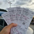 이사부길 | 울릉도 독도 가는 법 여행 코스 입도 후기