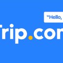 랜선닷컴 이미지