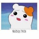논현무한장소