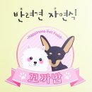 꼬까밥 이미지