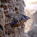 동면 생태친구들 이미지