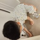 윤우농장 이미지