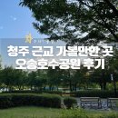 호수공원 관리사무소 옆 | 청주 근교 가볼만한 곳 오송호수공원 산책 한 시간!